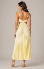 Women’s Sleeveless V-Neck Pleated Maxi Dress